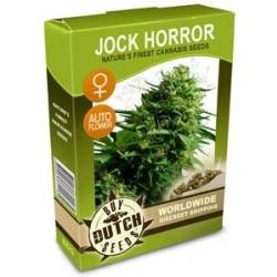 Jock Horror Féminisée Autoflowering